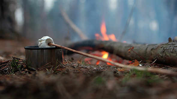 Hot Tea And Marshmallow On Nature
