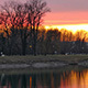 Rover on the Lake in Sunset - VideoHive Item for Sale