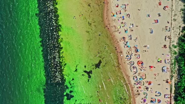 People on Darlowko beach, Baltic Sea, aerial view