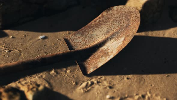 Old Rusty Shovel on Wet Sand at the Beach