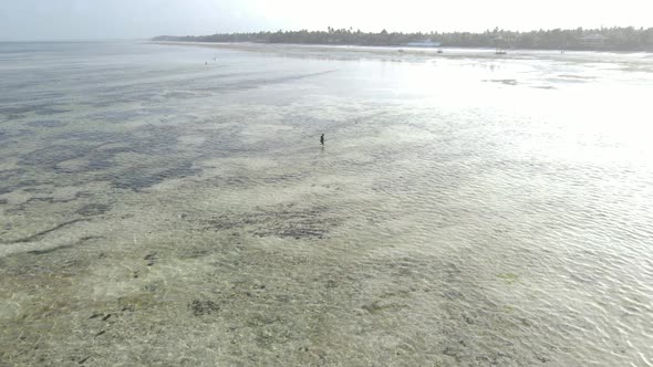 Man Walks Along the Beach at Low Tide in Zanzibar Tanzania Slow Motion