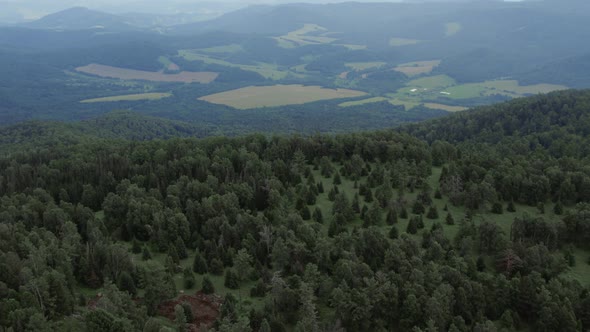 Deep forest on mountains of Manzherok, Altai