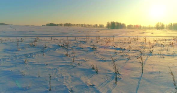 Aerial Drone View of Cold Winter Landscape with Arctic Field Trees Covered with Frost Snow and