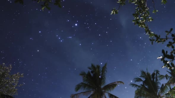 Tranquil Night Scene of the Starry Sky in Tropics Romantic Cosmic Fantasy in Twilight Milky Way