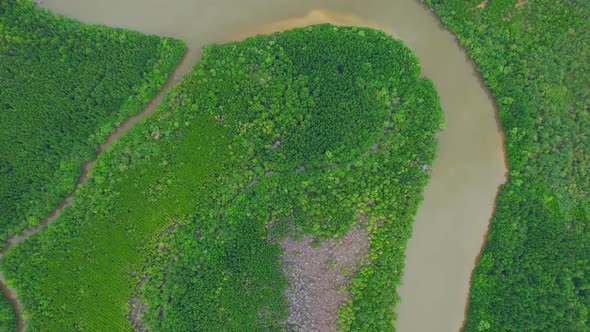 4K Aerial view of mangrove forest and beautiful river bends