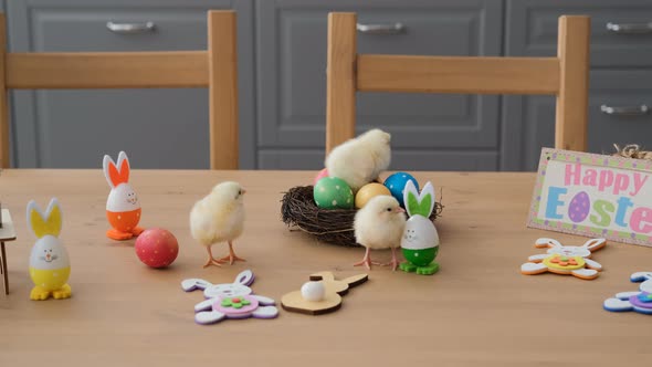 Chicks Standing on Table with Easter Decorations