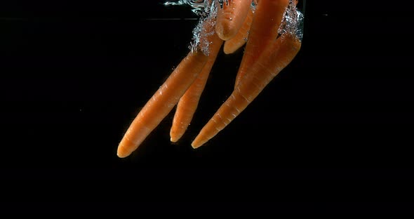 Carrots, daucus carota, Vegetables Entering Water against Black Background, Slow Motion 4k