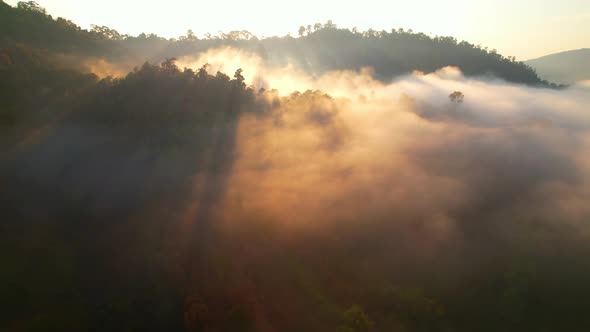 4K Aerial video, The sun's rays over mist in the morning