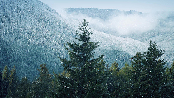 Snowfall On Trees Near Misty Mountains