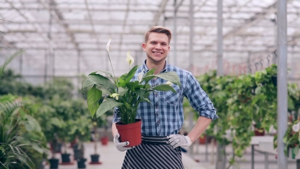 Handsome Florist Holding Spathiphyllum