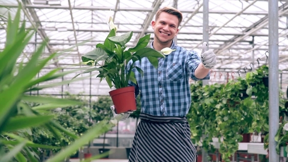 Florist With Flower Showing Thumbs Up