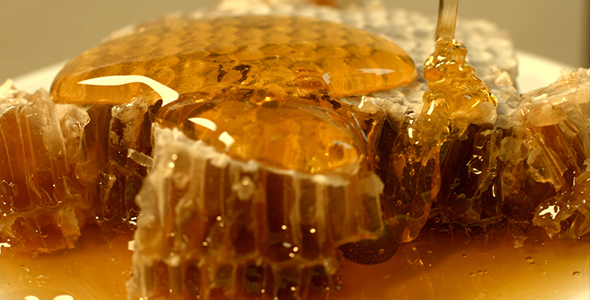 Honey and Honeycomb alt