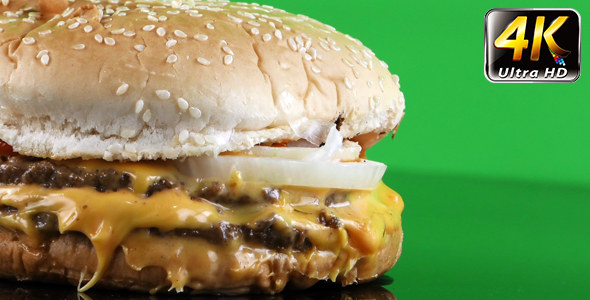 Delicious Hamburger 6 alt