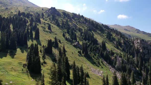 Flying on a Drone Among Fir Trees and Mountains