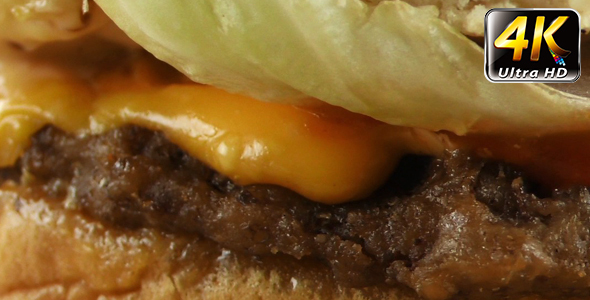 Delicious Hamburger 14