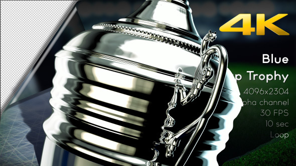 3D Sport Cup Trophy 08   