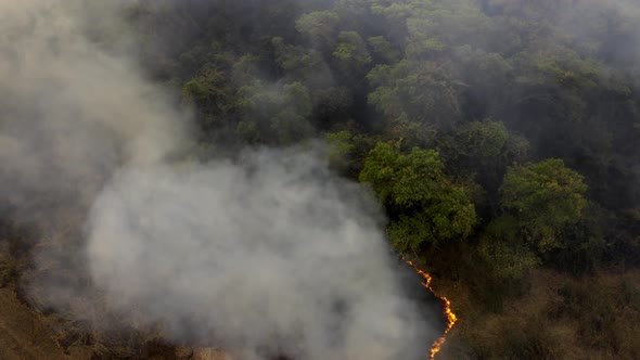 Fires burn and smolder in the Brazilian Pantanal - thick smoke rising above the forested wetland - a