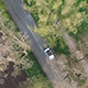 Aerial Footage of a Car Driving on a Tree Avenue - VideoHive Item for Sale