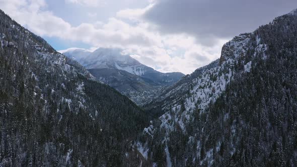 Flying through snowy canyon over pine tree forest towards Timpanogos Mountain