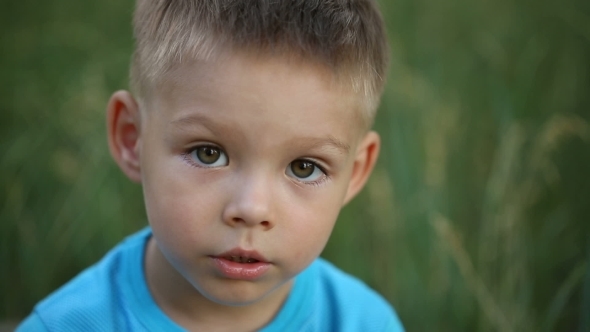 Portrait of a Boy on Nature