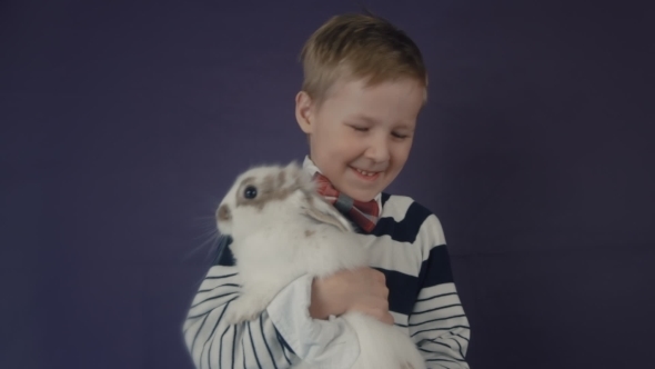 White Easter Bunny Playing With a Child.