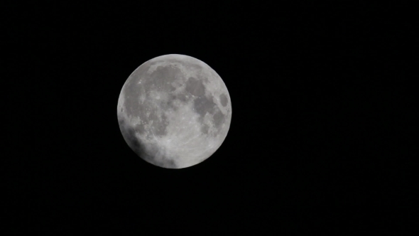 The Fool Moon In Dark Sky 