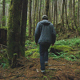 Man Walking Through Forest - VideoHive Item for Sale