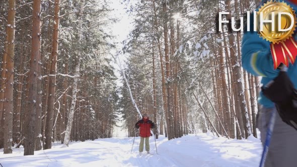 Two Women Skiing, Walking in The Winter Pine