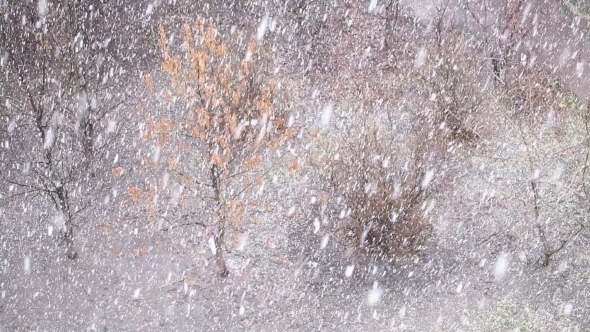 Background Of Snow Fall Blowing Fast In Winter Blizzard
