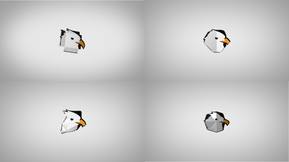 Origami Logo Reveals