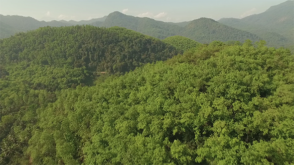 Flyover Forest Covered Mountains