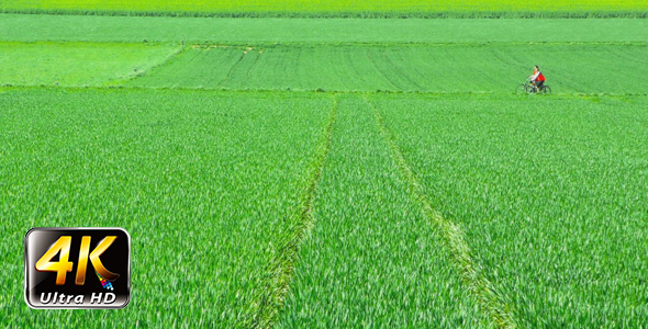 Riding Bike in Green Field