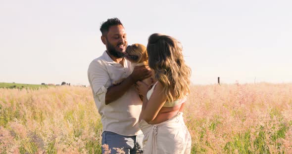 French bulldog being spoiled by the owners, a young and passionate couple waiting for a baby.