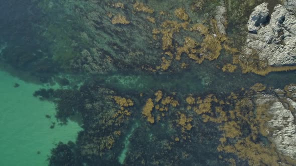 Zoom out aerial of ocean, top down view