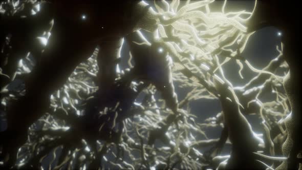 Journey Through a Neuron Cell Network Inside the Brain alt