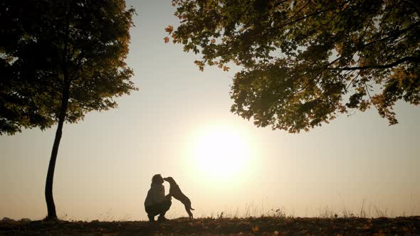 Against the Background of the Orange Sunset Sky Silhouettes of Woman Training and Playing with Her