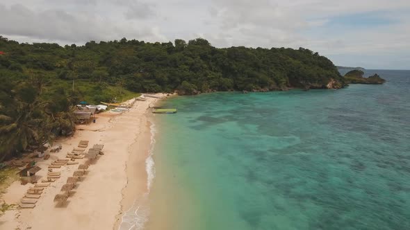 Tropical Sand Beach with Palm Trees