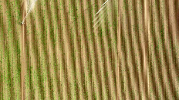 Aerial Shot of Crop Field with Pivot Watering Irrigation System