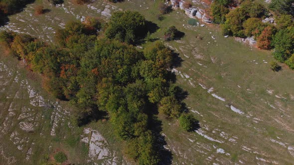 Upper Autumn Trees Scattered on Hill Terraces Under Blue Sky