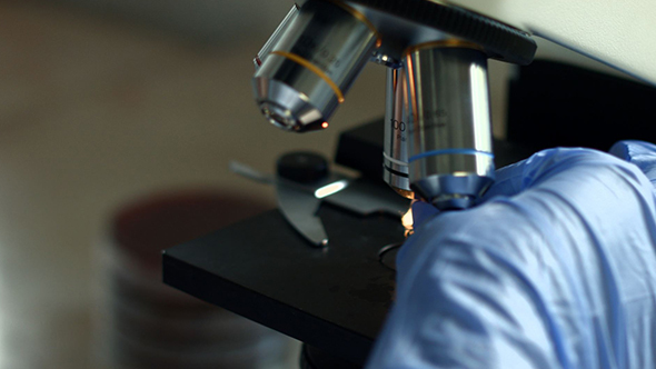 Cleaning Microscope in Microbiology Lab