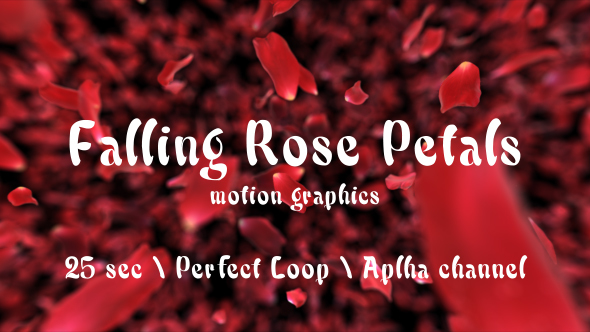 Falling Rose Petals