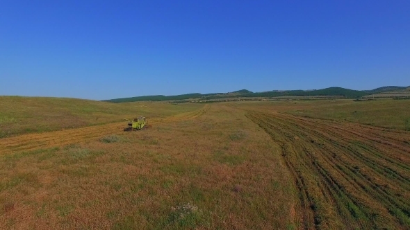 AERIAL VIEW. Combine Harvester Mowing Ripe Field