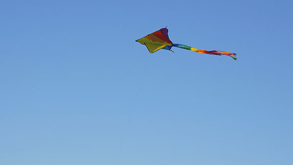 Kite Flying in the Sky