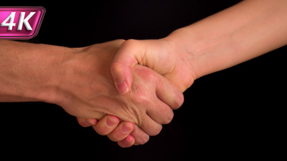 Conclusion the Good Bargain