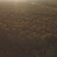 Aerial Autumn Forest And The Sun - VideoHive Item for Sale
