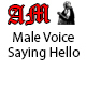 Male Voice Saying Hello