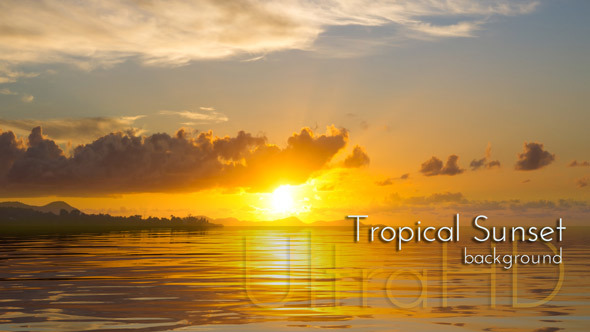 Tropical Sunset Background