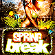 Spring Break PSD Flyer Template - GraphicRiver Item for Sale