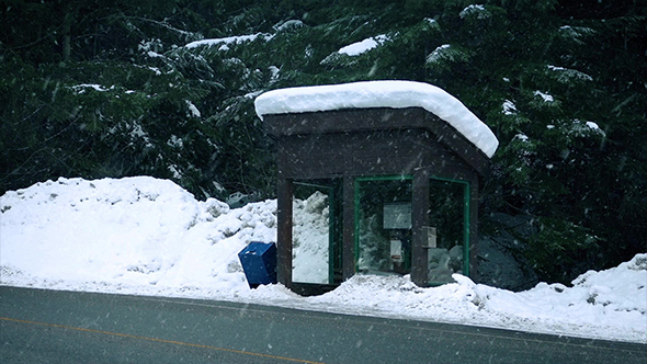 Snow Falls On Bus Shelter Near Forest