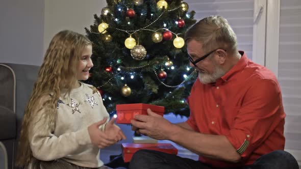 Grandfather and Granddaughter Near the Christmas Tree. The Girl Opens the Gift and Rejoices. Happy